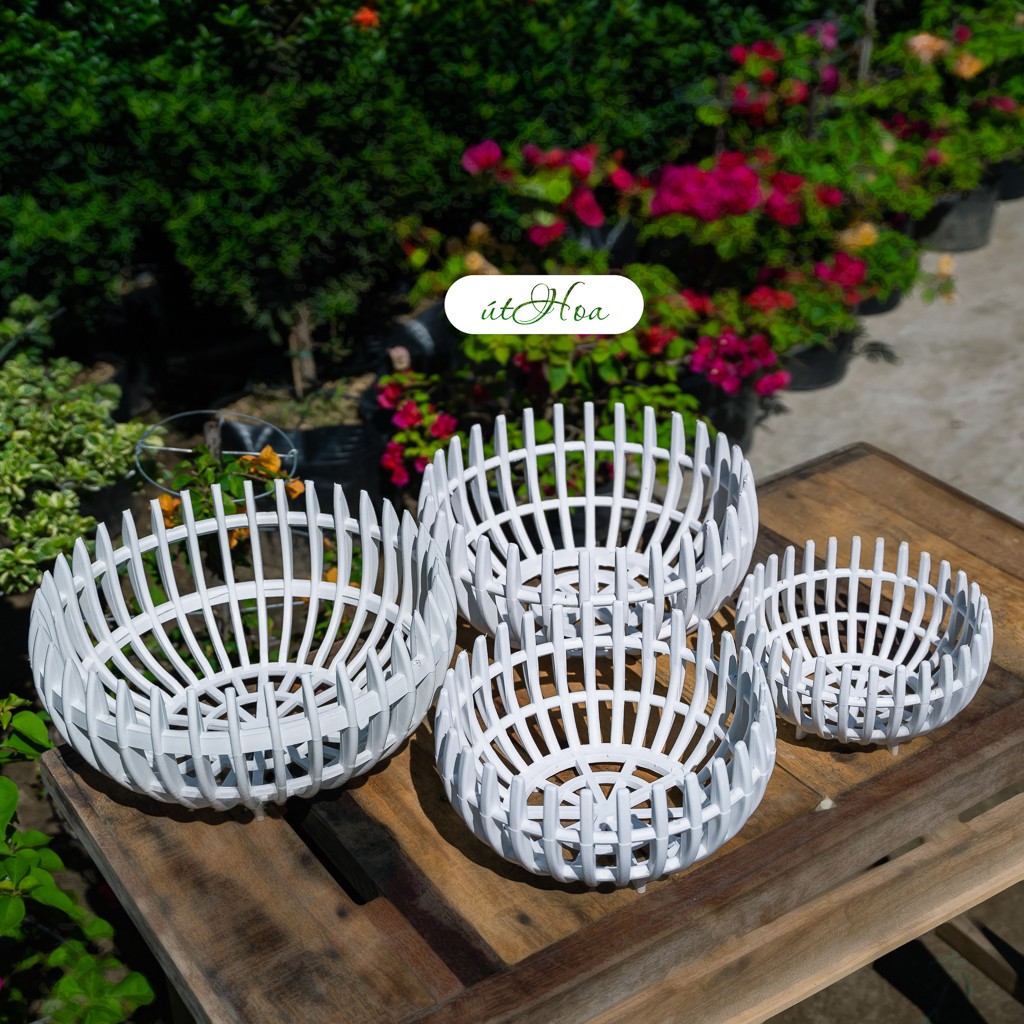 Chậu Trồng Lan Que Dày (Quả Bí) Đủ Size Giá Rẻ