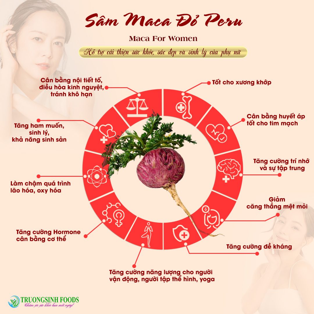 SÂM CỦ MACA PERU ĐỎ KHÔ ngâm rượu, sắc thuốc, pha trà