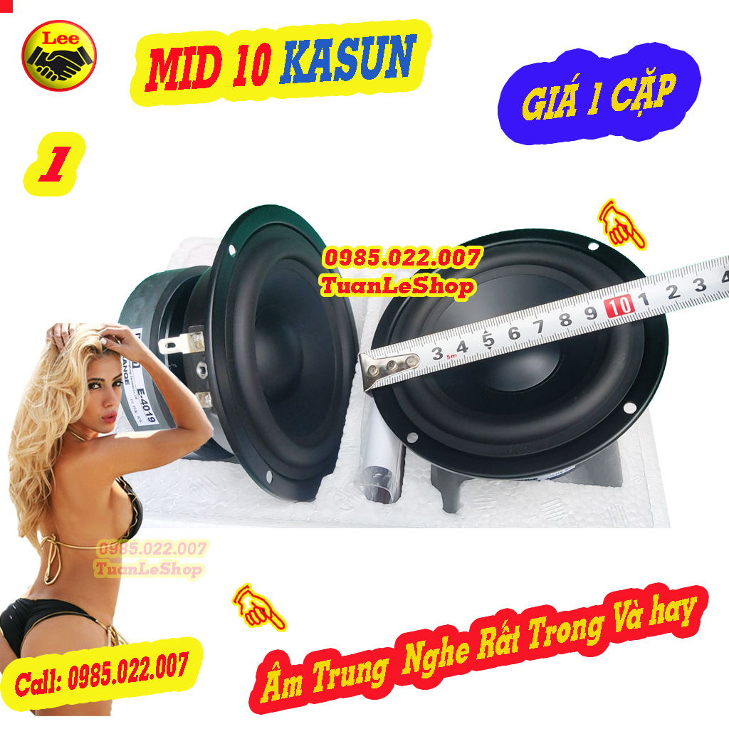 LOA TRUNG 10 KASUN NHẬP KHẨU E4019 - GIÁ 1 CẶP