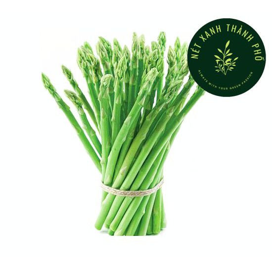 [GIAO HÀNG 2 GIỜ] Hạt giống Măng Tây dễ trồng 0,2g