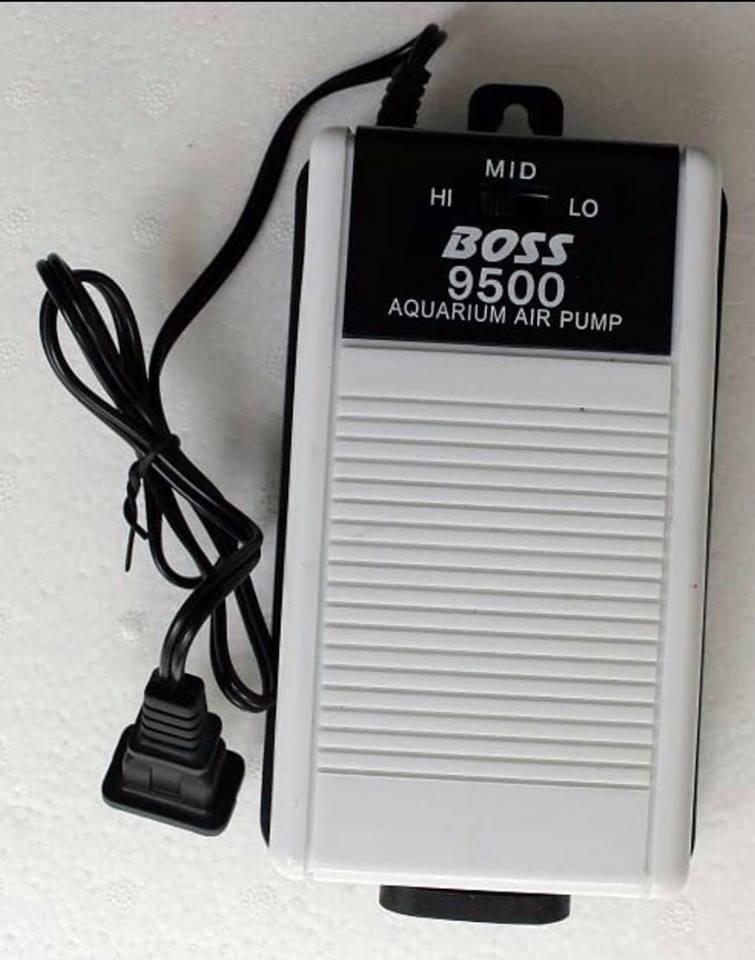Boss 9500 2 vòi - Máy thổi khí oxy siêu êm hồ cá