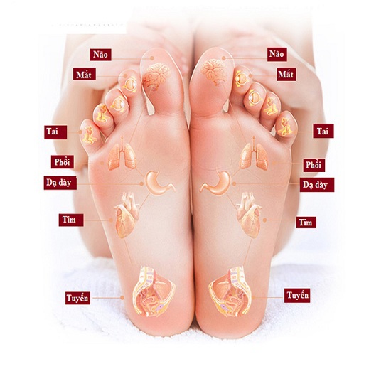 Máy massage chân, mát xa chân và bắp chân cao cấp 5D (HÀNG CÓ SẴN)