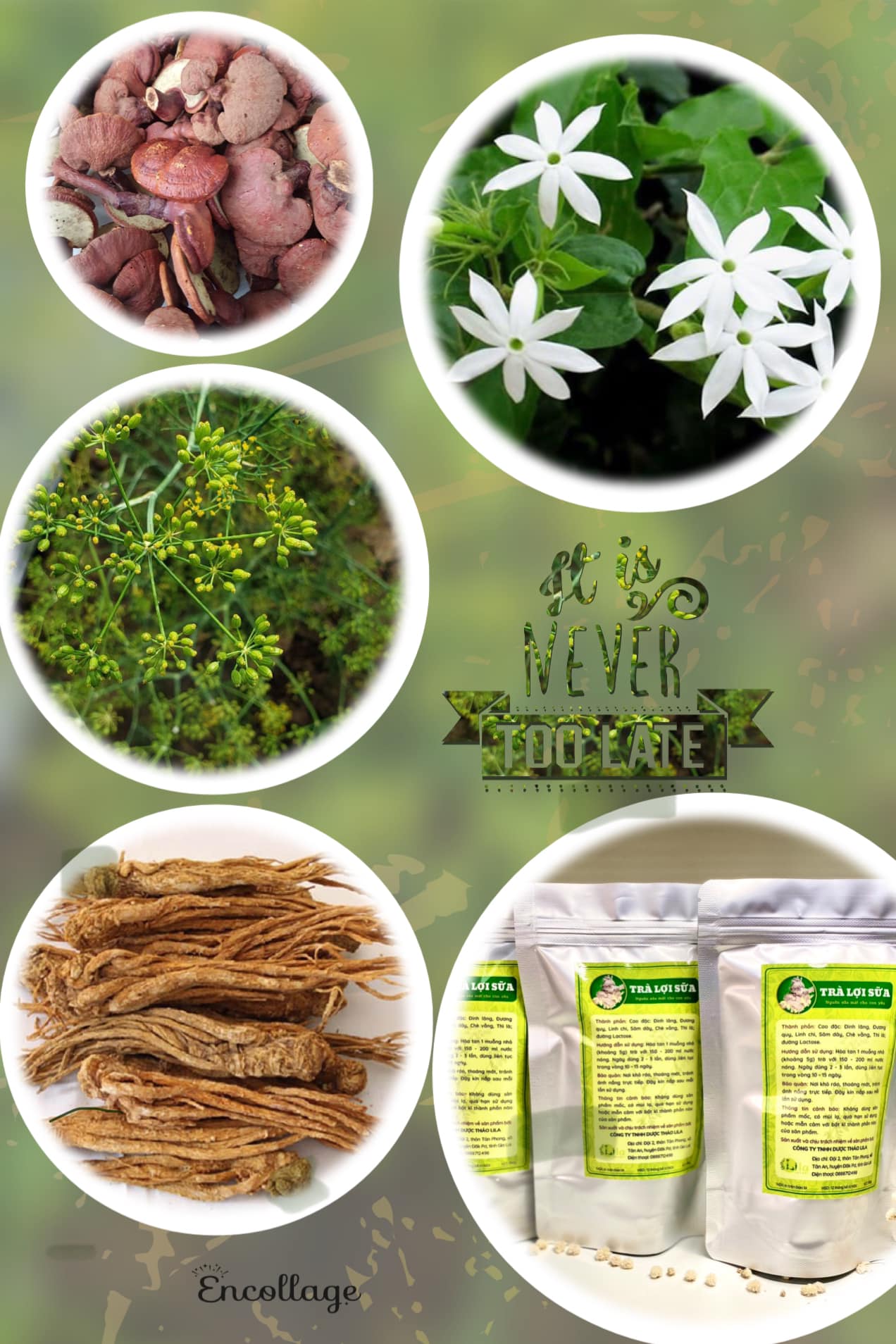 Trà linh lăng 100 g Thao duoc lila st