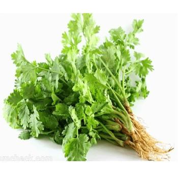 Hạt Giống Ngò Bạc Liêu, Hạt Bể Trang Nông