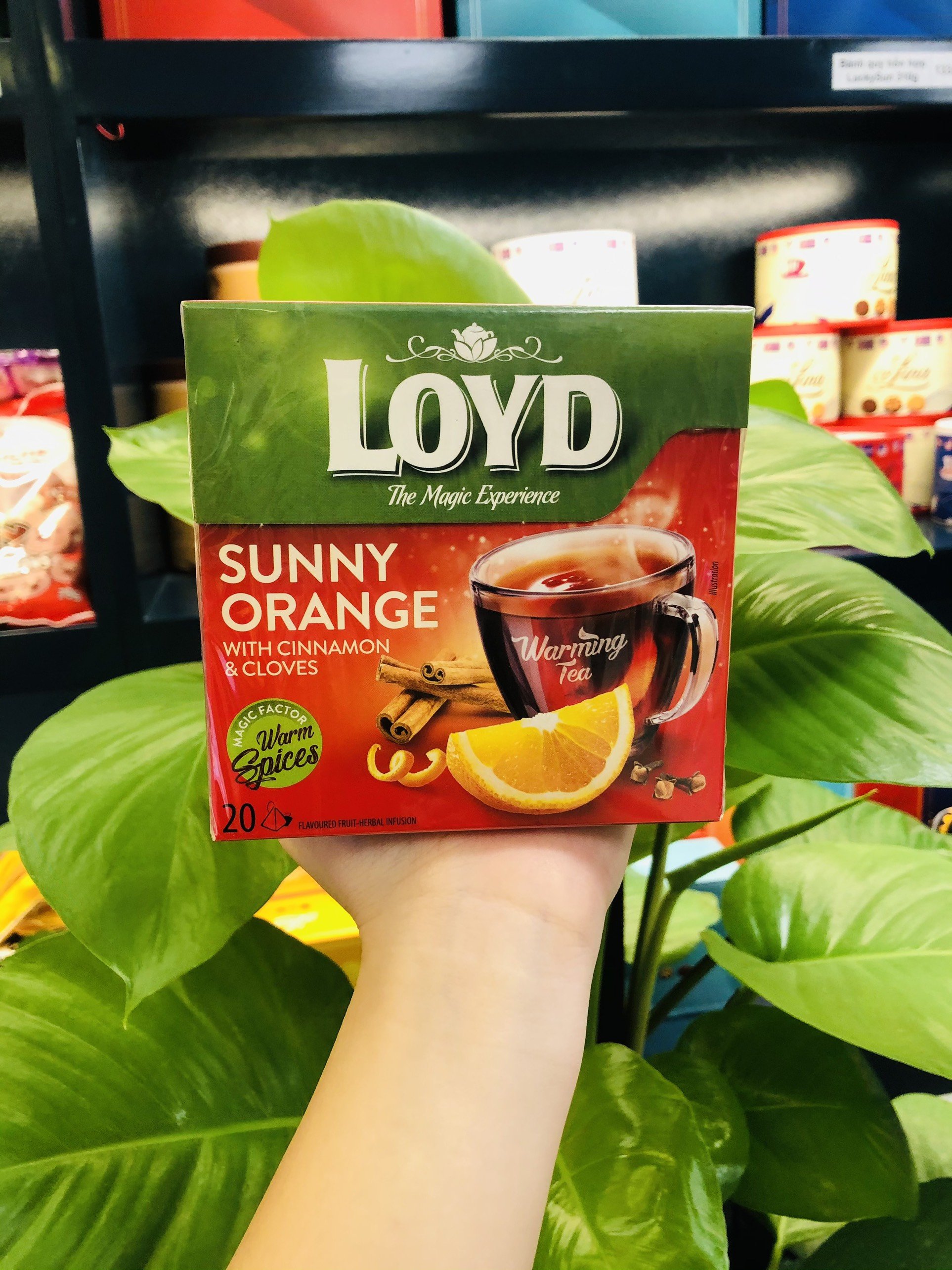 TRÀ LOYD DATE T3/4-2024