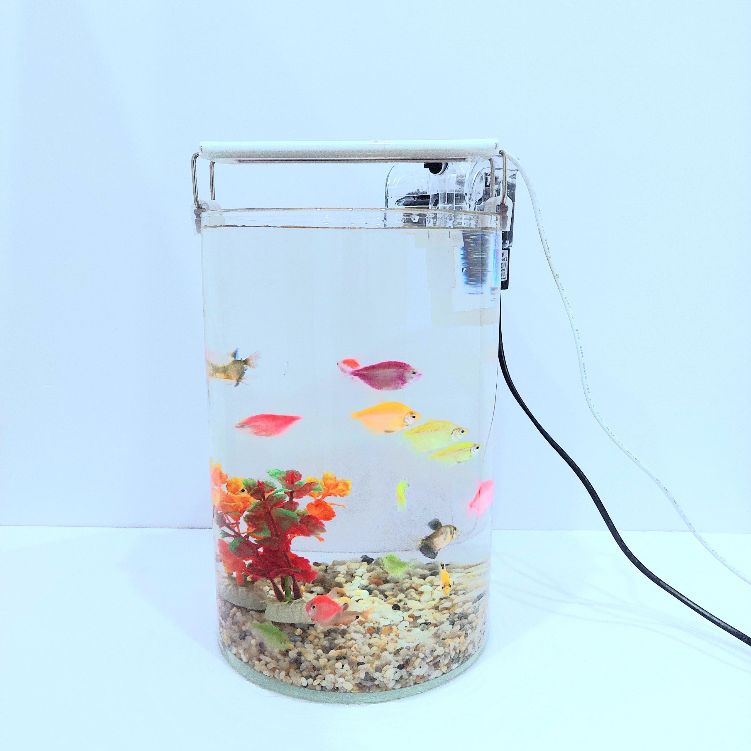 [Hoàn Tiền 10%] Bể cá mini tròn D20-H30 nhiều mẫu