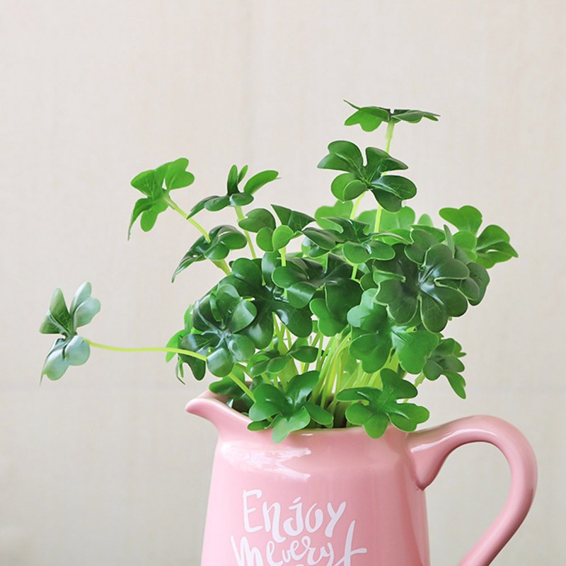 Clover Seeds (3-Leaf Grass) - Pack of 50 Seeds