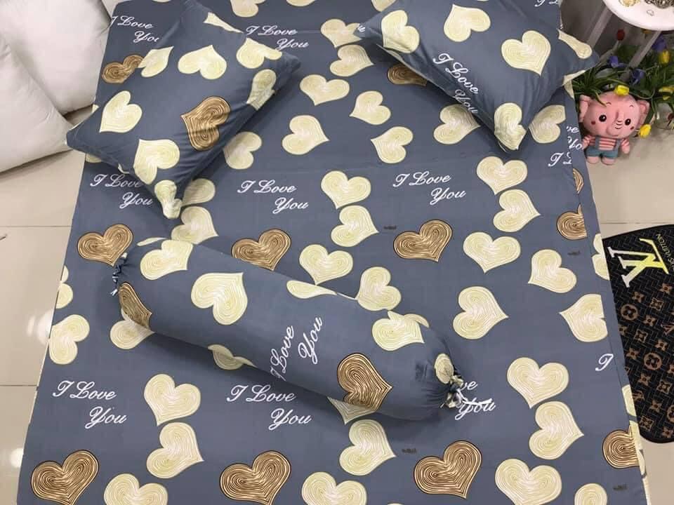 Bộ drap ga thun Hàn mẫu trái tim