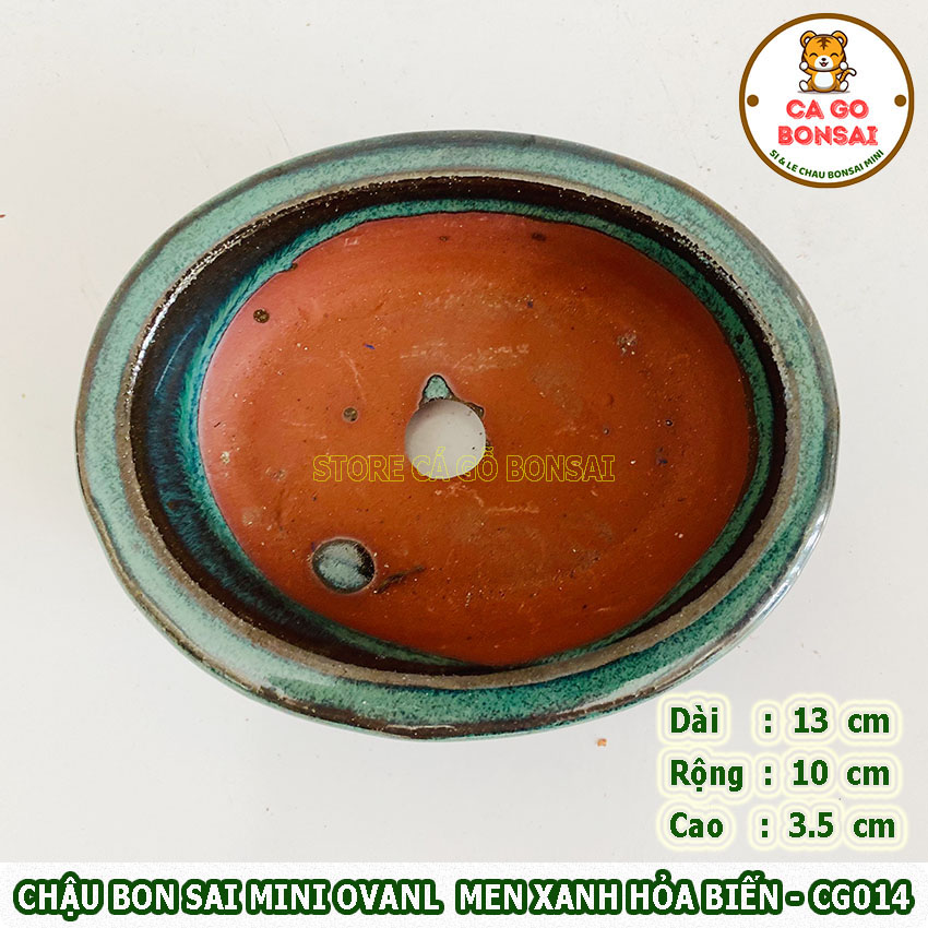 Chậu Bonsai Mini Oval Men Xanh Hỏa Biến - CG014