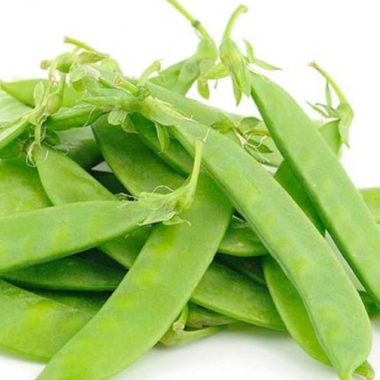 20gram Hạt Giống Đậu Hà Lan Thu Trái (chuyên lấy trái)