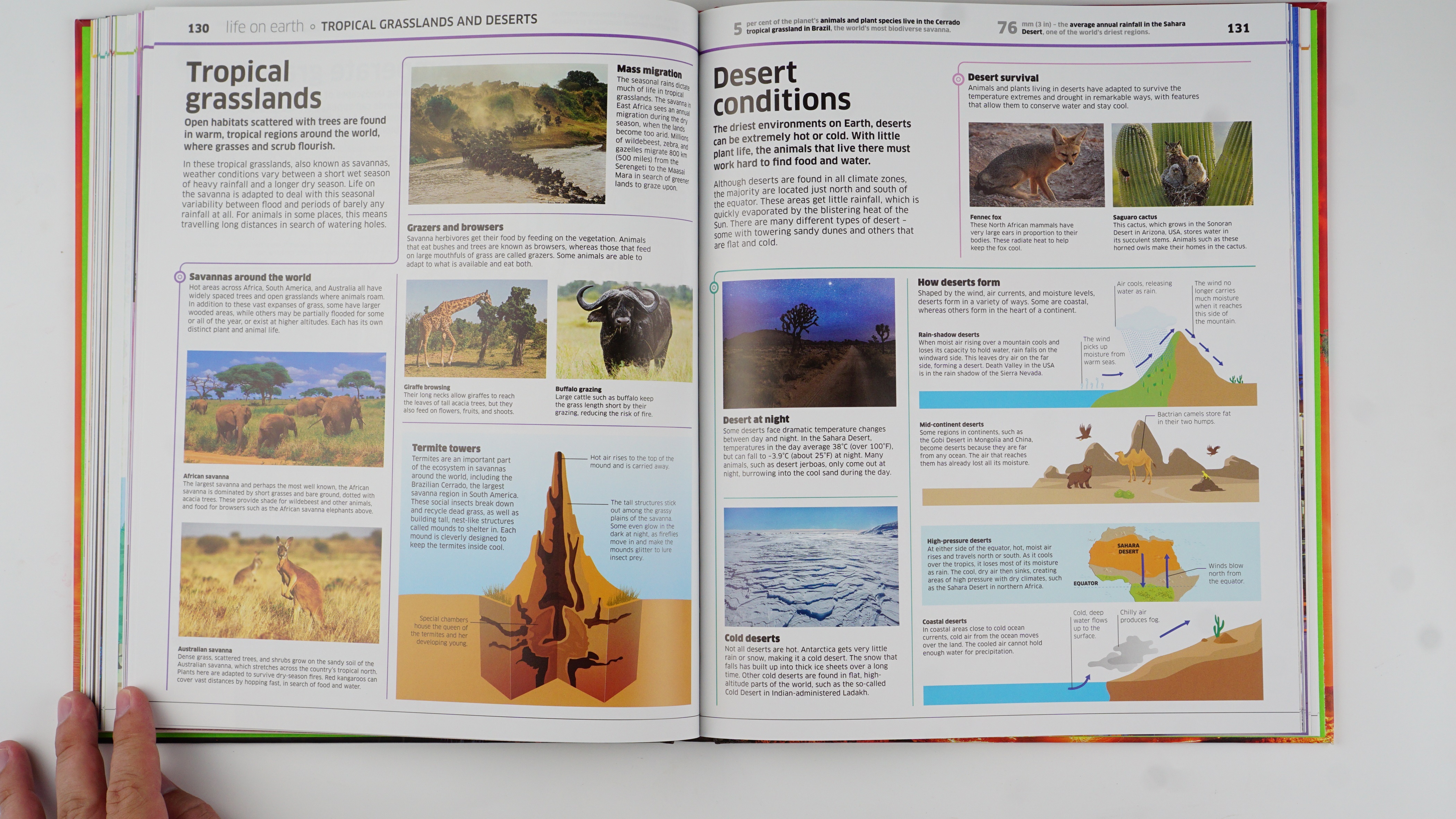 Knowledge Encyclopedia Earth! : Our Exciting World As You've Never Seen It Before
