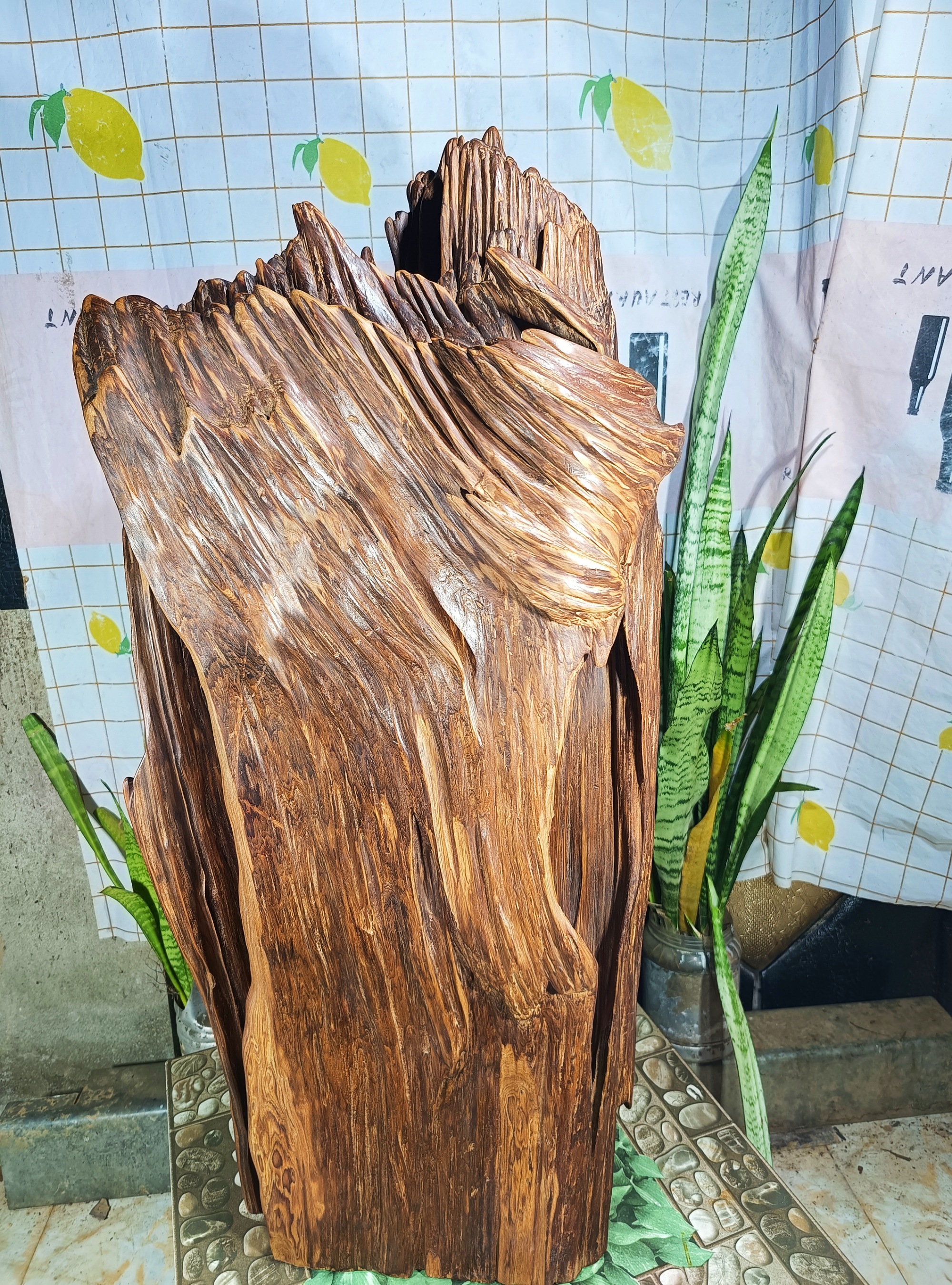 lũa gỗ thơm ngọc am đỏ hà giang