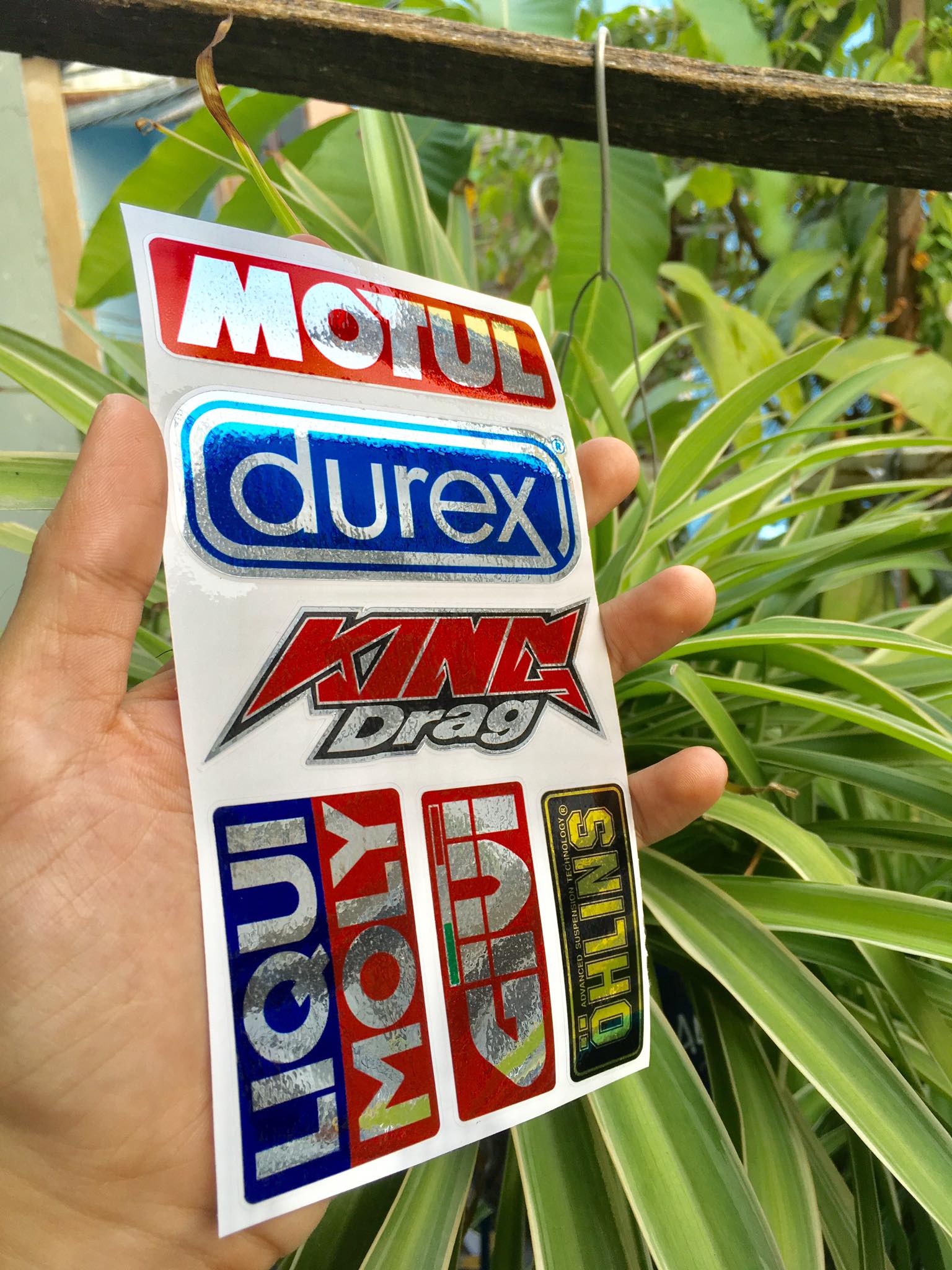 [HCM]TEM LOGO SI CROM KING DRAG MOTUL DUREX
