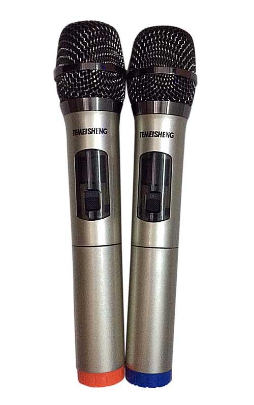 [HCM]Loa bluetooth karaoke Temeisheng TMS-502