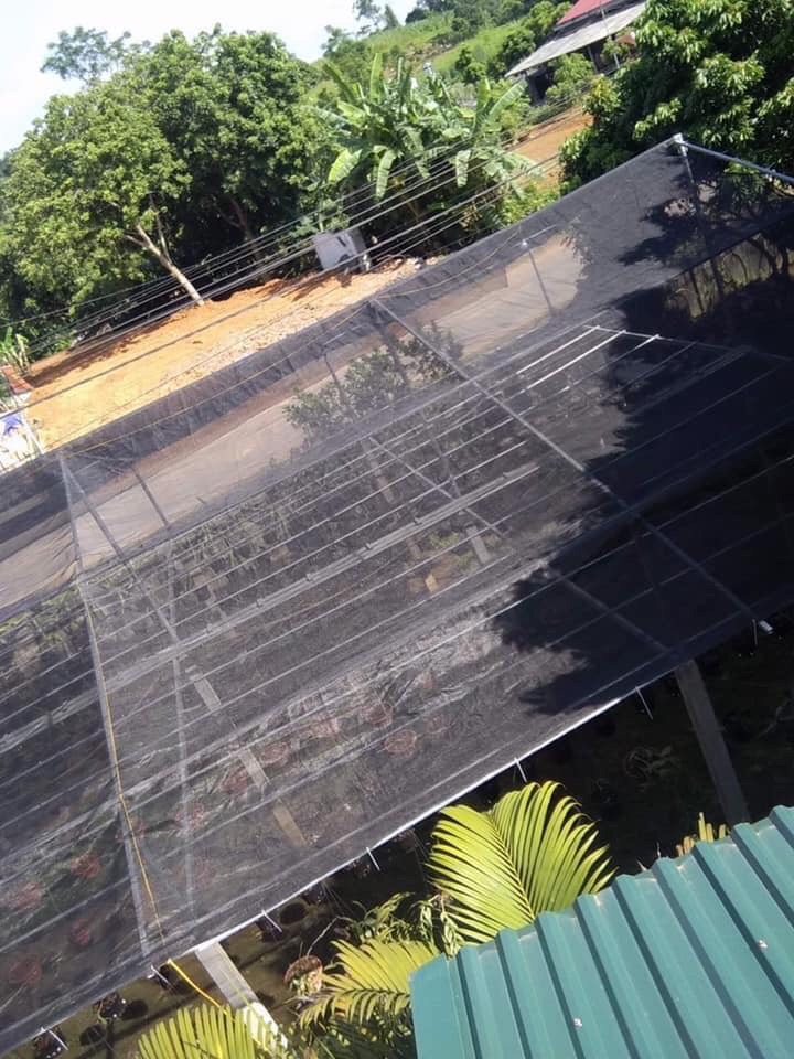 Lưới che nắng  3m x 8m (Đài Loan)