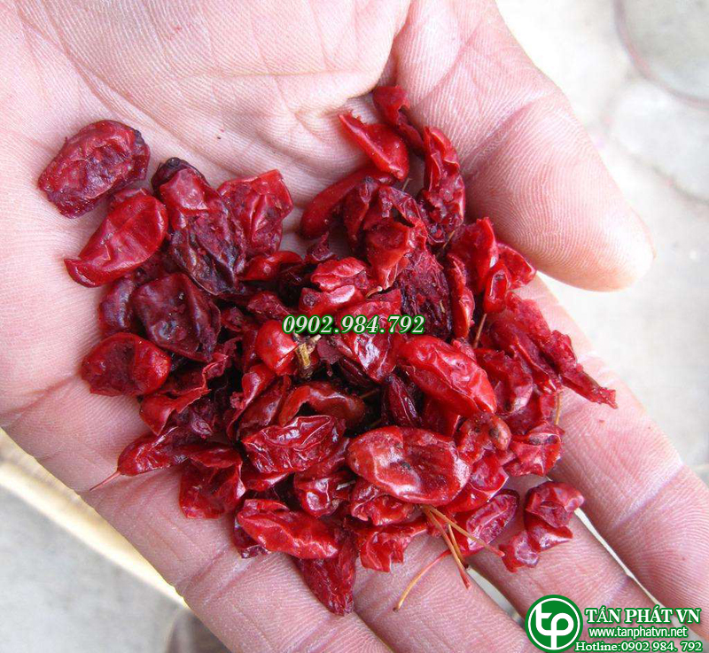Sơn thù du khô 100g