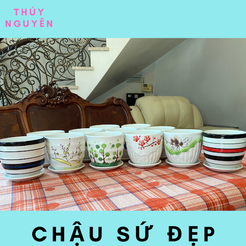 Chậu gốm sứ mini trồng sen đá để bàn
