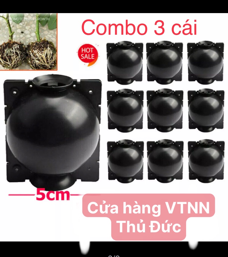 Bầu chiết cành Combo 3 cái