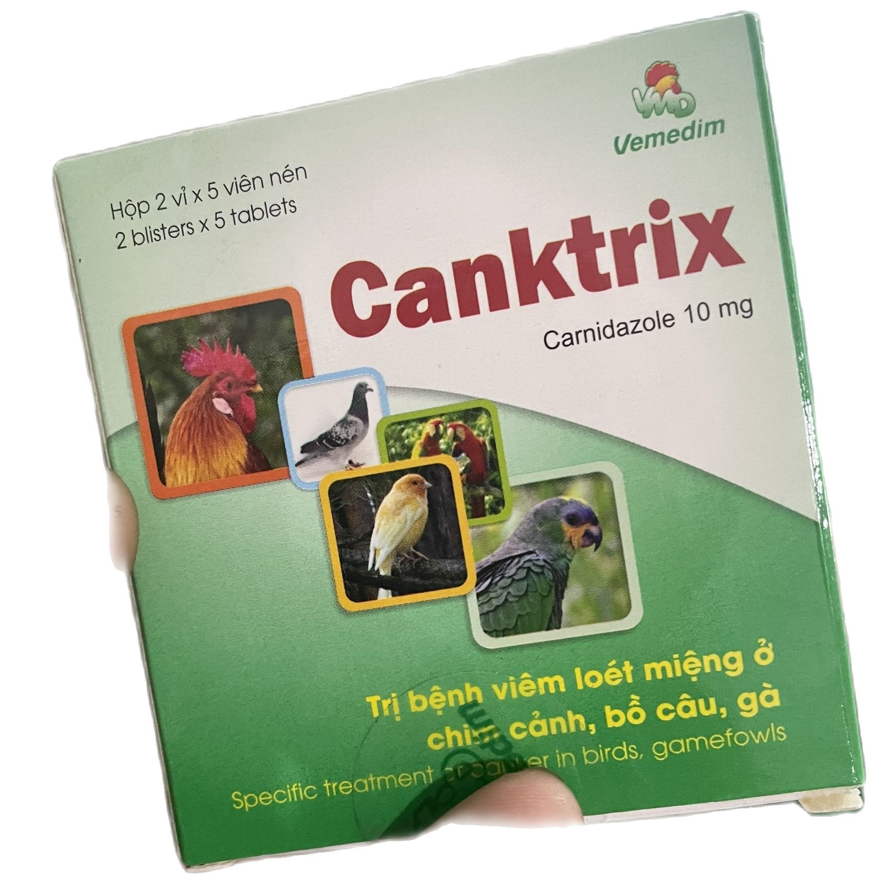 Combo 2 viên Canktrix loét miệng ở chim gà bồ câu
