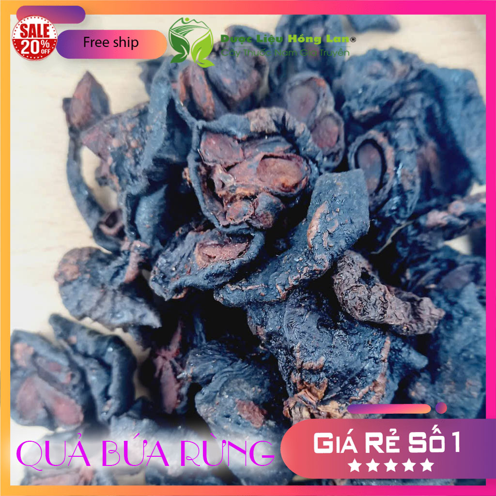 ✅ 500g Quả Bứa Rừng khô (Quả măng cụt rừng)