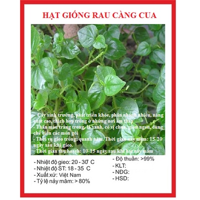 Hạt giống rau càng cua -gói 0,5 gram(tặng kèm phân bón)
