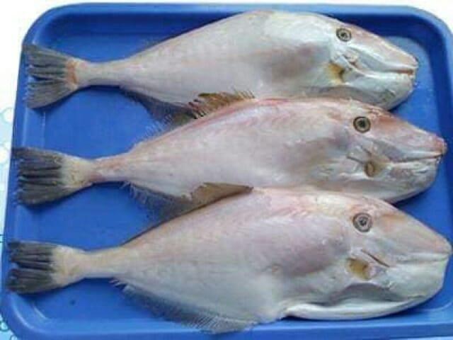 CÁ BÒ KHÔ ĐẶC SẢN ĐÀ NẴNG ÉP MIẾNG TRÒN ( GÓI 500g )