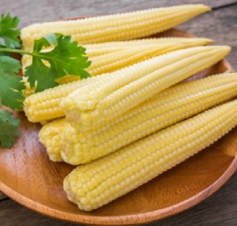 Hạt Giống Ngô Bao Tử - 1 gói 30 hạt