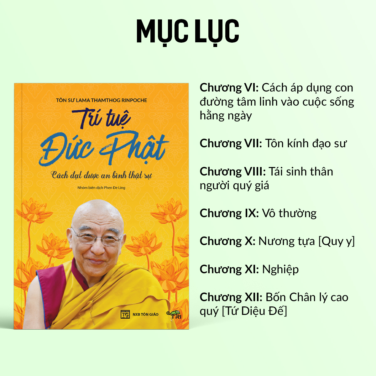 Sách - Trí Tuệ Đức Phật (Lama Thamthog Rinpoche) - Tuệ Tri