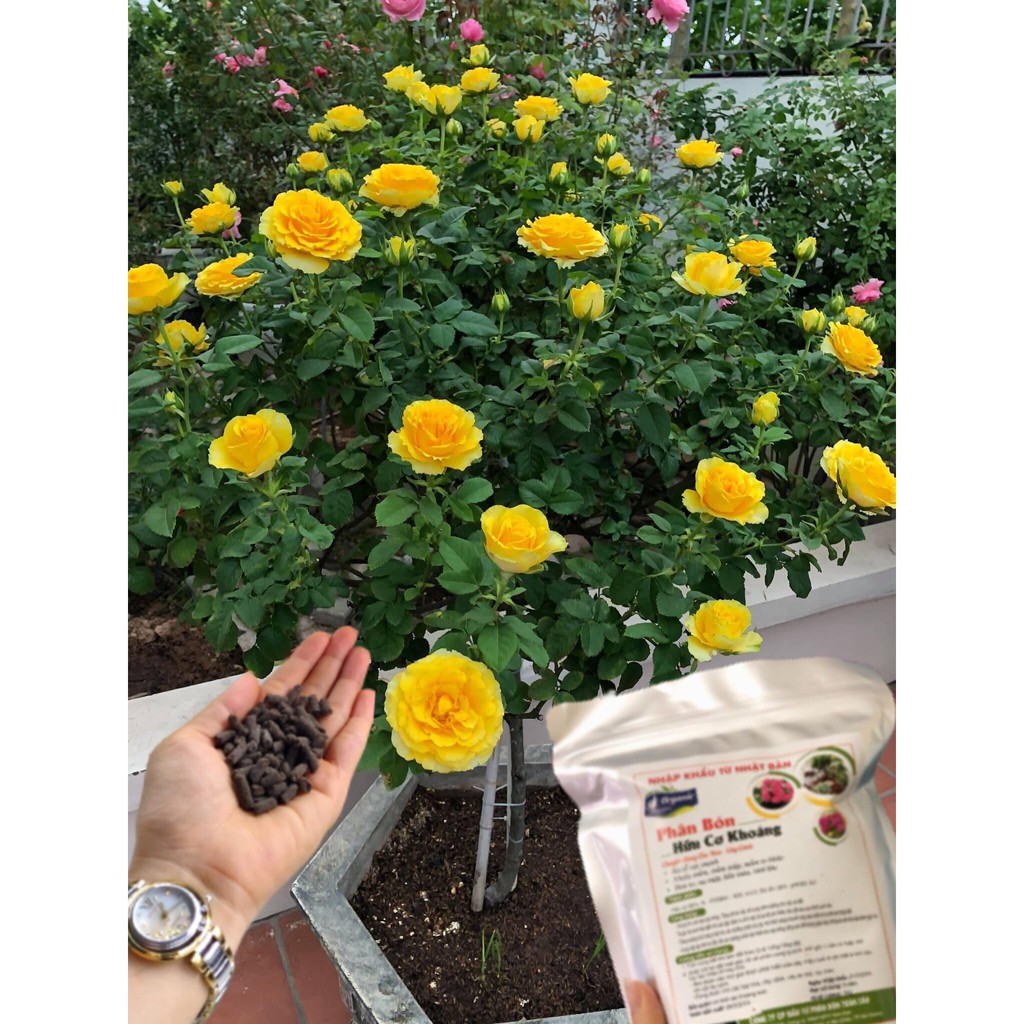 Phân Nhật nhập khẩu nguyên bao bổ sung Humic (gói 1kg)