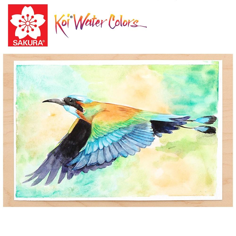 Màu Nước SAKURA Koi Watercolor 36 mầu