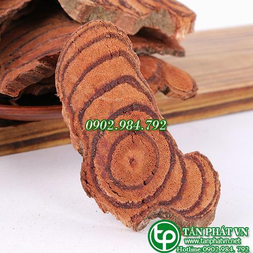 Kê huyết đằng khô 1kg - Hàng sạch xanh thơm chất lượng cao đến từ Tấn Phát