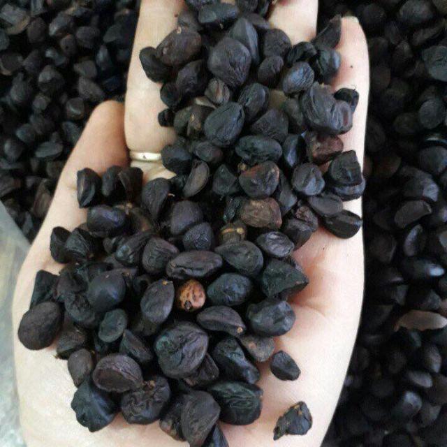Hạt Dổi Đặc Sản Tây Bắc 200g tặng kèm hạt mắc khén