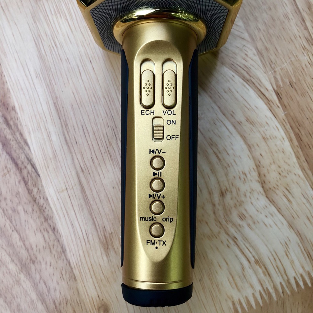 Micro Karaoke Kèm Loa Bluetooth Sd10