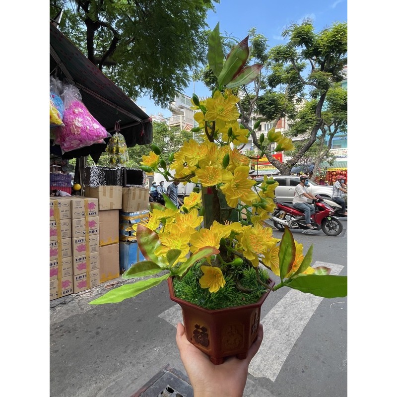 CHẬU HOA MAI GIẢ-CHẬU HOA MAI MINI ĐỂ BÀN Hoa Mai Giả Trang Trí Tết - Lazada | Lazada.vn