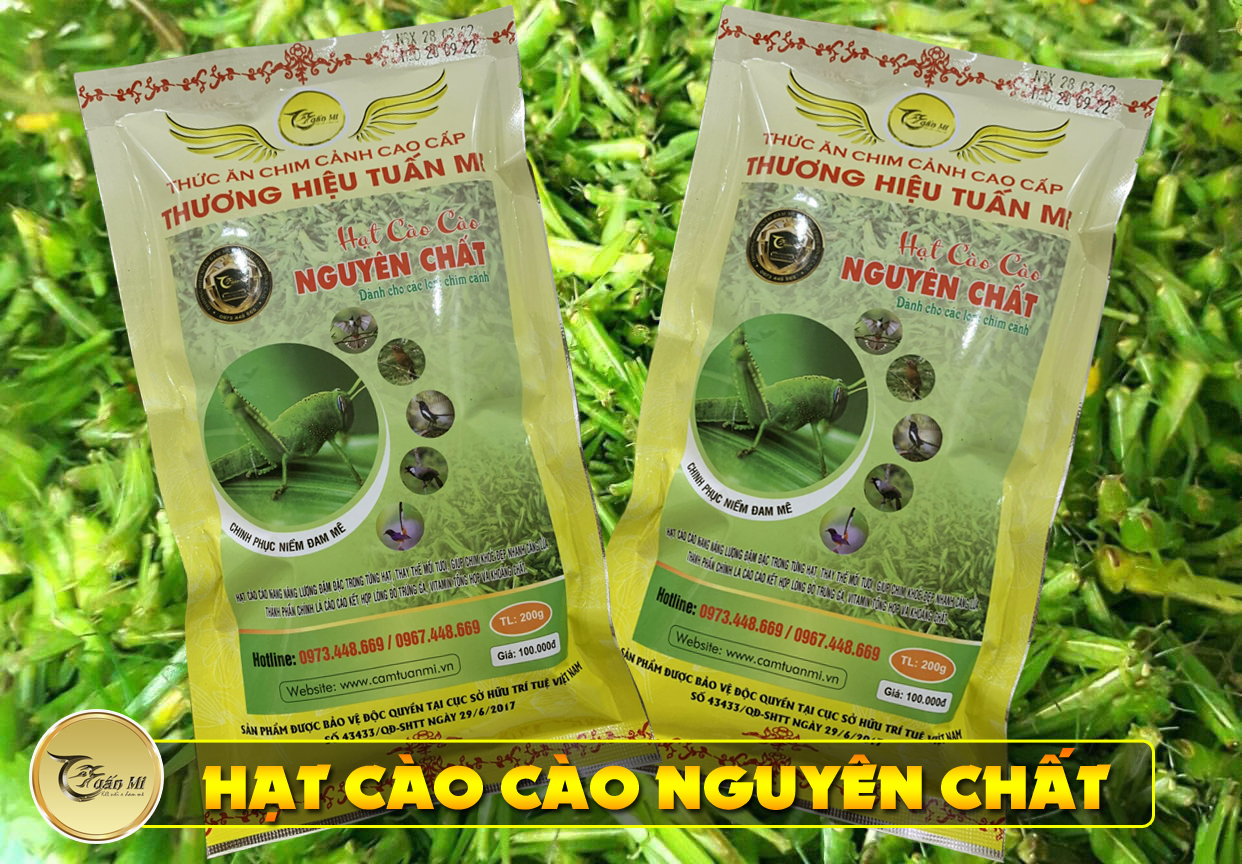 Hạt Cào Cào Nguyên Chất (Thương hiệu Tuấn Mi)