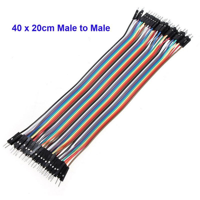 Dây Bẹ Đực-Đực Dài 20cm (bẹ / 40 sợi)- TH100