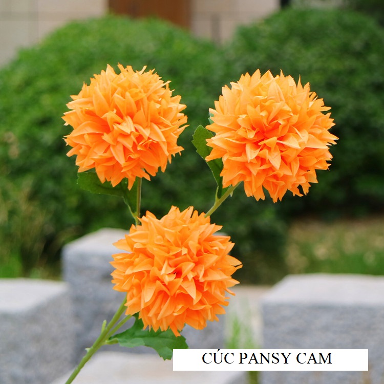 HOA CÚC PANSY (CẨM TÚ CẦU) loại lớn, cành 3 bông lớn - Hoa giả, hoa trang trí, hoa lụa cao cấp