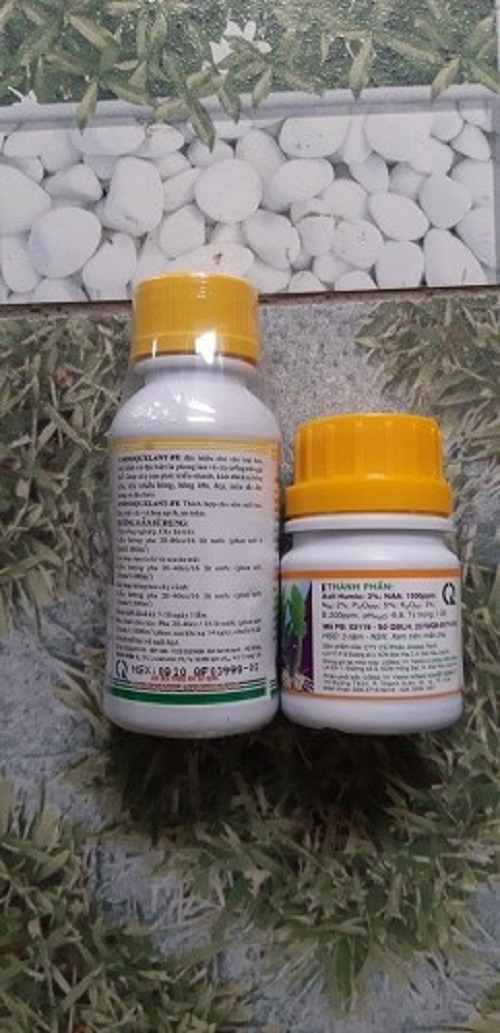 BỘ SẢN PHẨM DƯỠNG CÂY, CHĂM SÓC CÂY SỨ THÁI (AMINO Ca: 100 ML VK HUMAT : 50 ML)