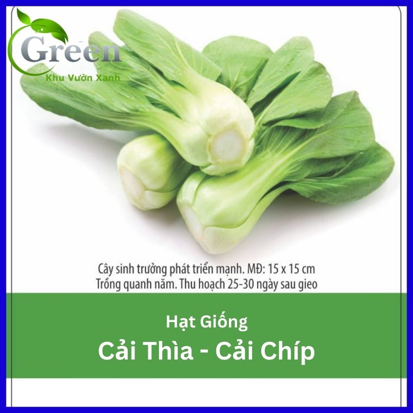 Hạt Giống Cải Thìa (Cải Chíp) 20 Gam