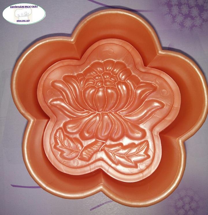 Khuôn nhấn xôi mai trung hoa cúc