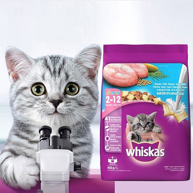 Thức Ăn Cho Mèo Con Dạng Hạt Whiskas Junior Túi 1,1 Kg