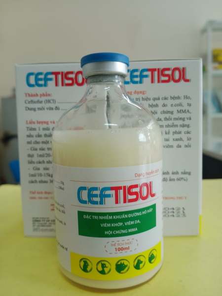 CEFTISOL- 100ml