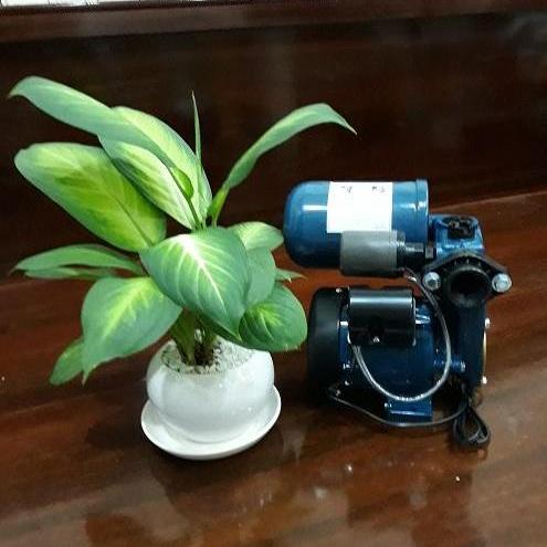 Máy bơm tăng áp Panasonic A-130JAK