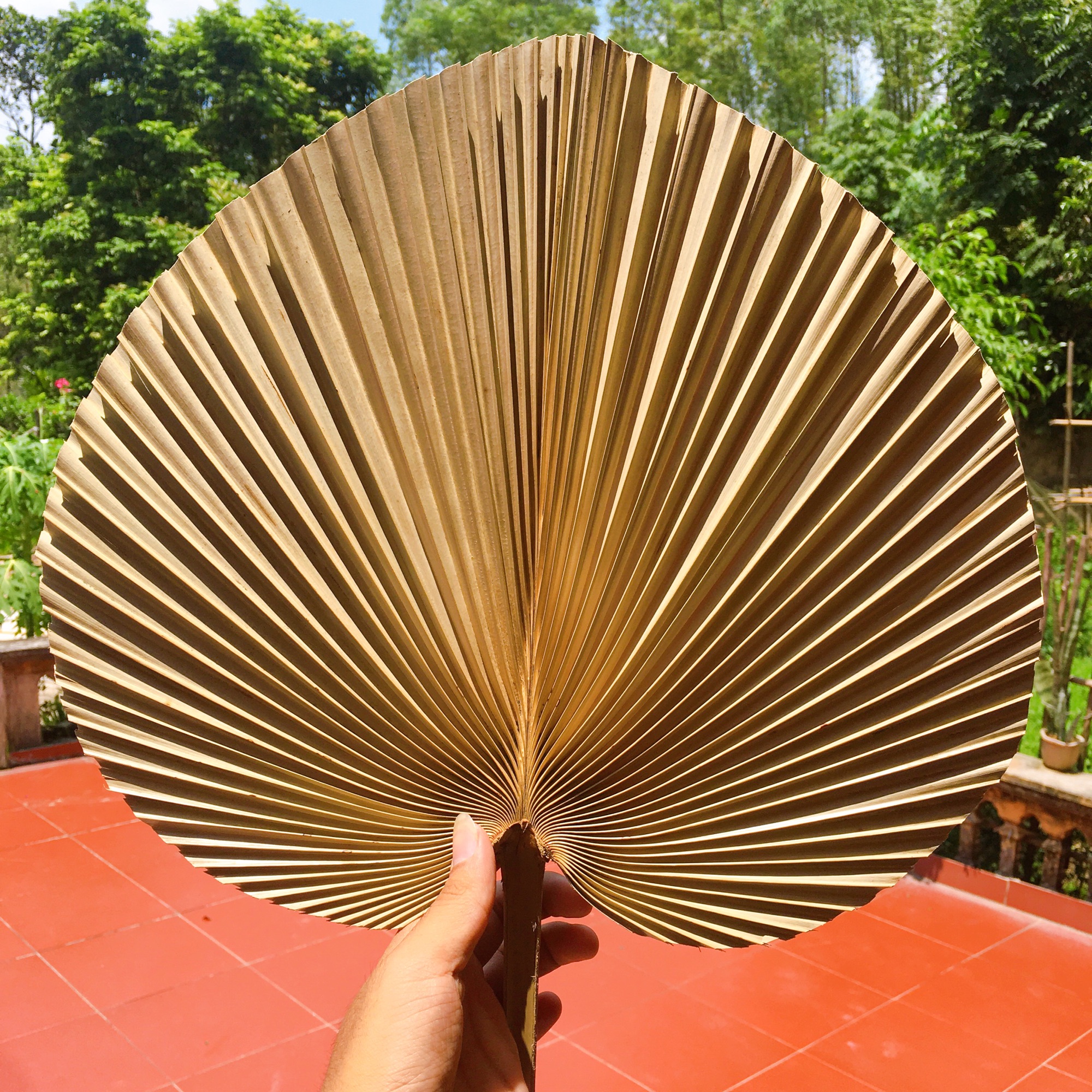 Quạt cọ truyền thống