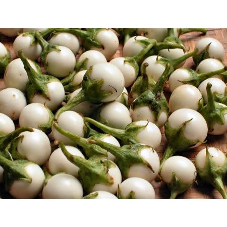 Hạt Giống Cà Pháo Trắng F1 - 100 Hạt