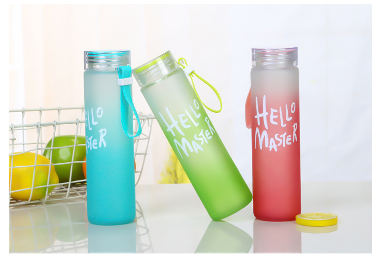 Combo 2 Bình nước thủy tinh Hello Master 450ml có hộp - Bình nước Hello Master