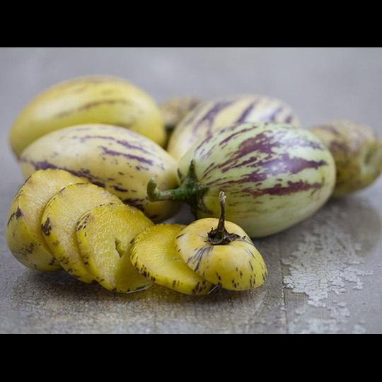 25 Hạt Hạt Giống Dưa Pepino (Solanum muricatum)