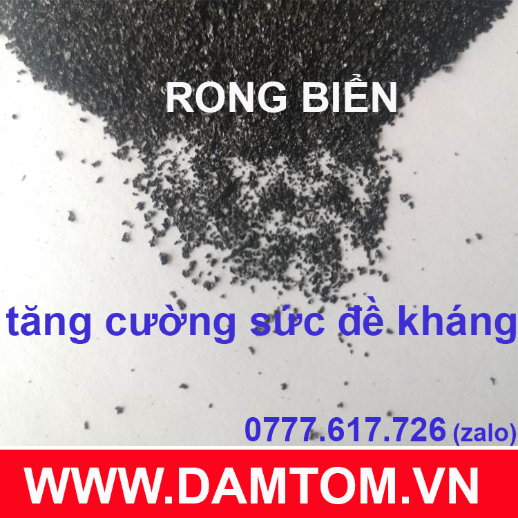 Bột rong biển (Seaweed extract powder) dạng bột, vảy tan 100% (gói 500g)
