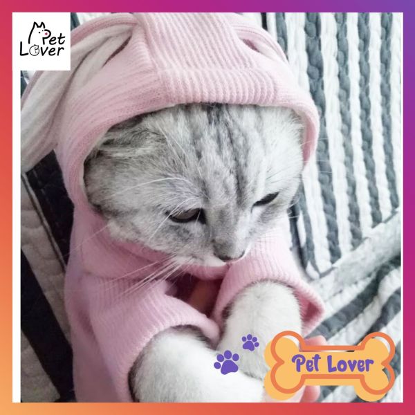 Quần áo cho mèo, áo có mũ cho chó mèo, màu hường siêu cute, form thoải mái, mèo tha hồ chạy nhảy (mũ đội hồng) - Petlover