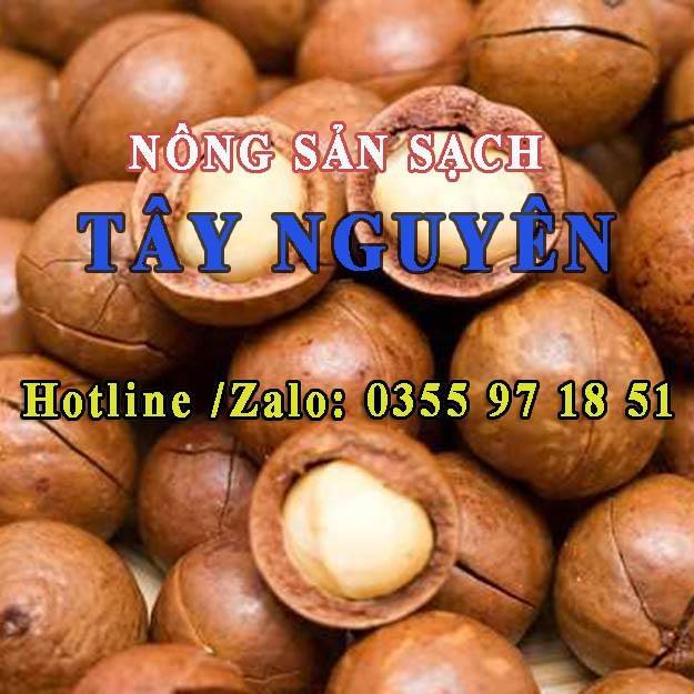 [HCM][ GIÁ SỈ ] Hạt mắc ca Tây Nguyên( 1 Kg) - Hạt mắc ca nhà trồng - Hạt macca Nứt vỏ
